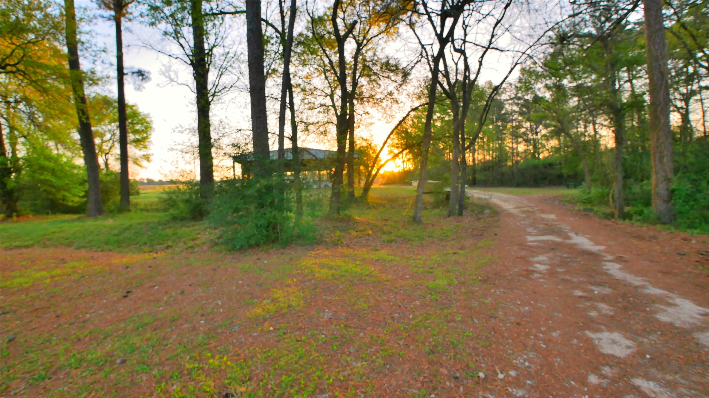 23478 Bays Chapel Road Richards, TX 77873 - Photo 47 of 49 a view of backyard with green space