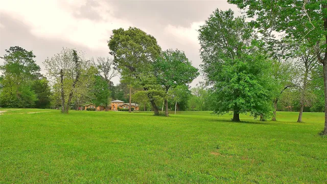 a view of a grassy field with trees in the background
