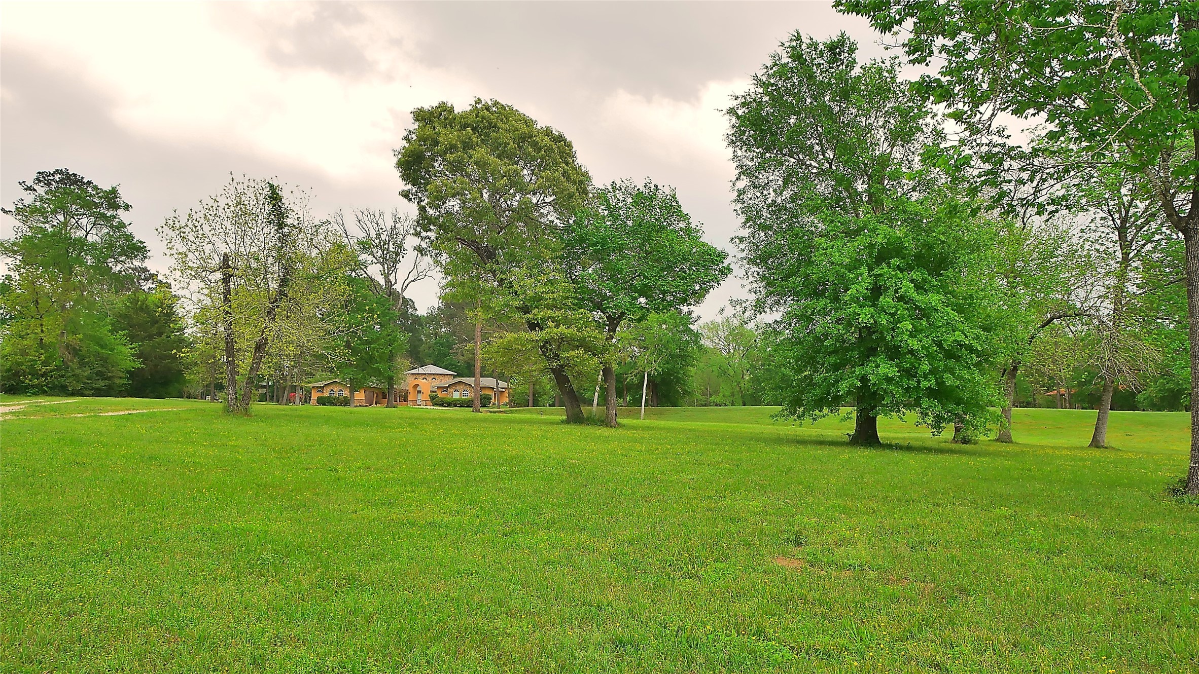 23478 Bays Chapel Road Richards, TX 77873 - Photo 6 of 49 a view of a grassy field with trees in the background