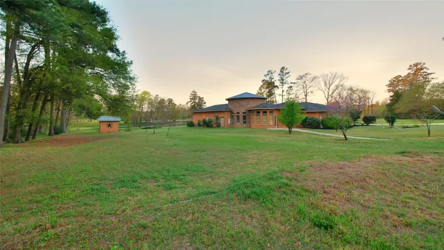 a view of a park with large trees
