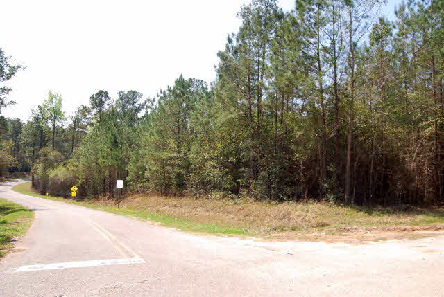 0 Williams Road Daphne, AL 36527 - Photo 3 of 4