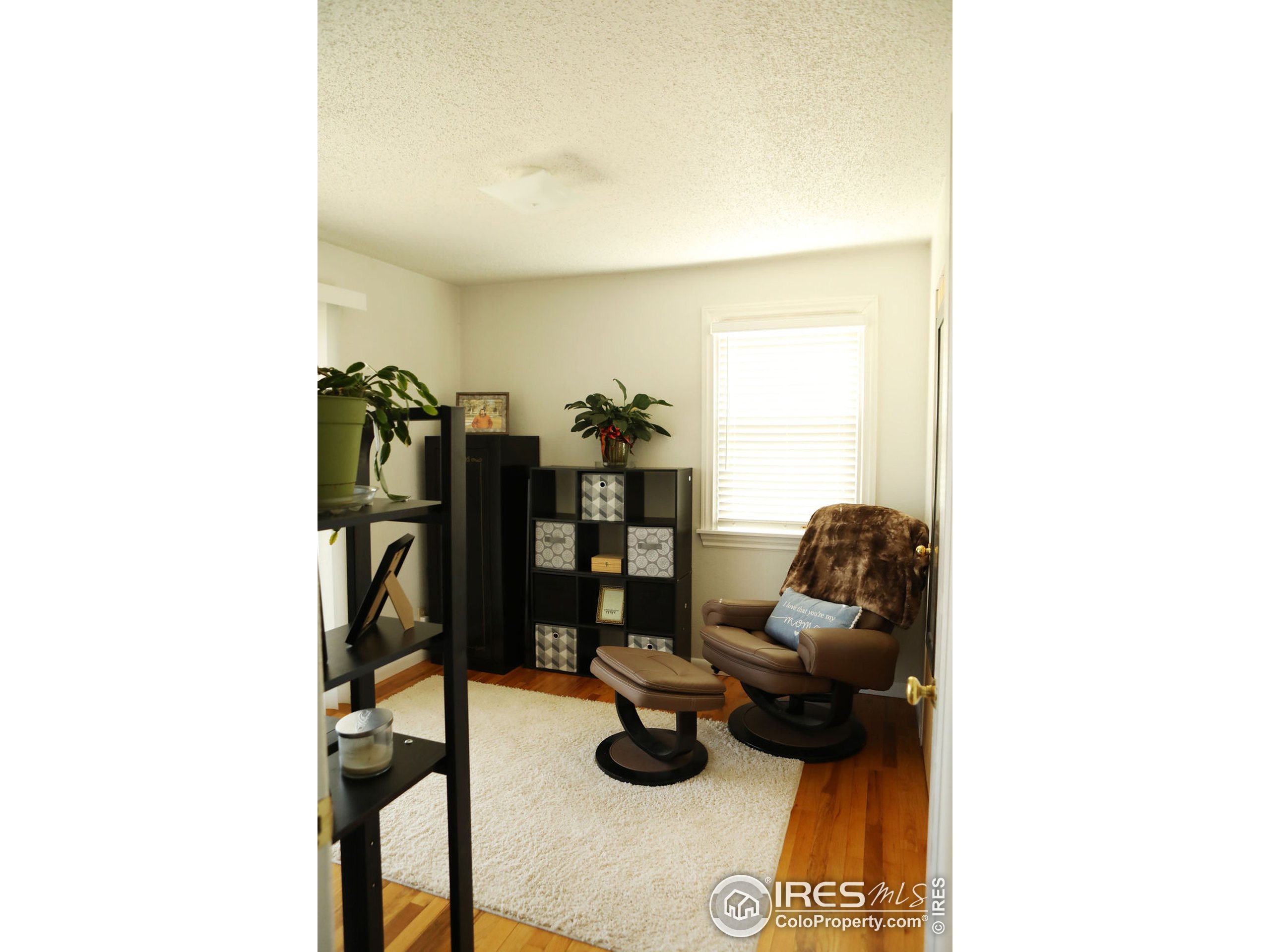 1150 County Rd M 5/10 Wiggins, CO 80654 - Photo 11 of 31 a living room with furniture and a window