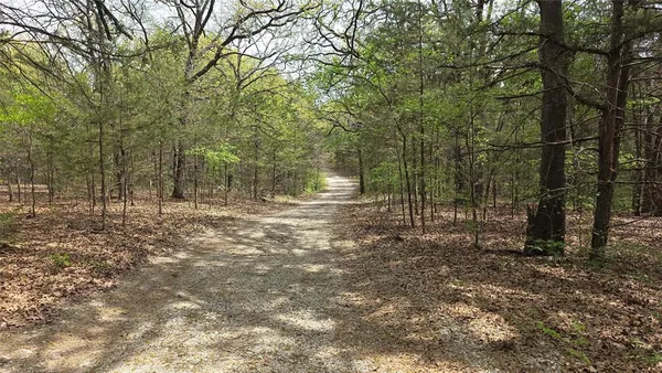 a view of outdoor space with trees