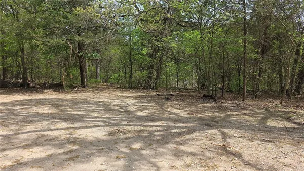 a view of outdoor space with trees