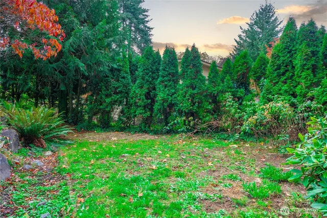 a view of yard with green space