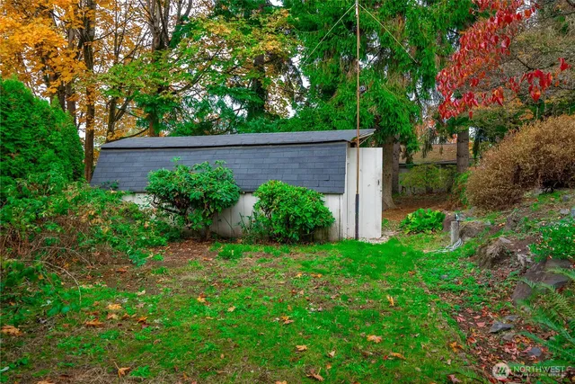 a view of a backyard with plants and large trees