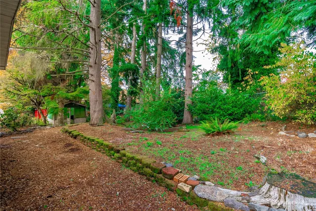 a sidewalk with trees in front of it