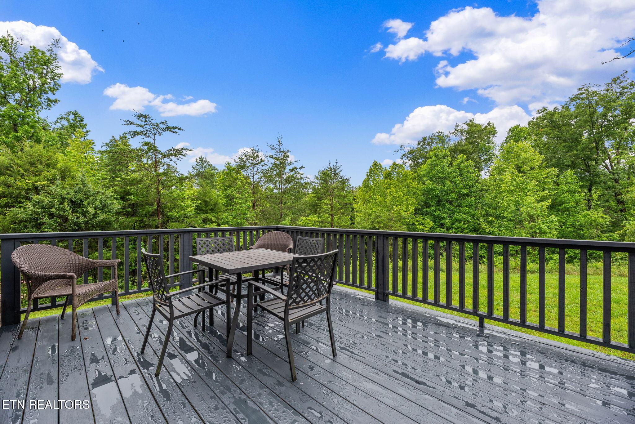 127 Mistletoeberry Road Oak Ridge, TN 37830 - Photo 32 of 49 36-web-or-mls-Mstltbrry127 (13)