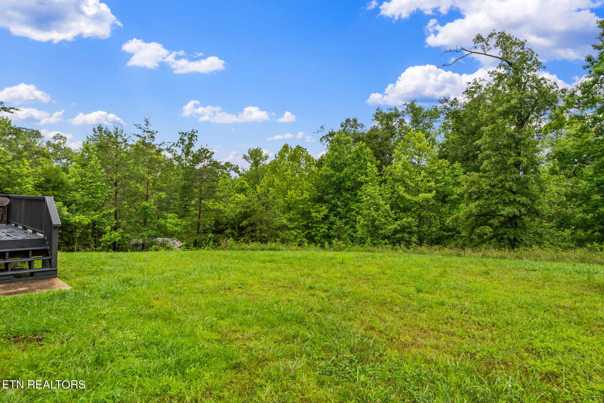 127 Mistletoeberry Road Oak Ridge, TN 37830 - Photo 33 of 49 37-web-or-mls-Mstltbrry127 (4)