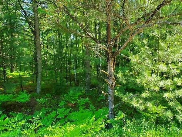 $3,900 | 0 Hillside Drive, Unit LOT 62 HILLSIDE DRIVE LOT, Alger, MI 48610
