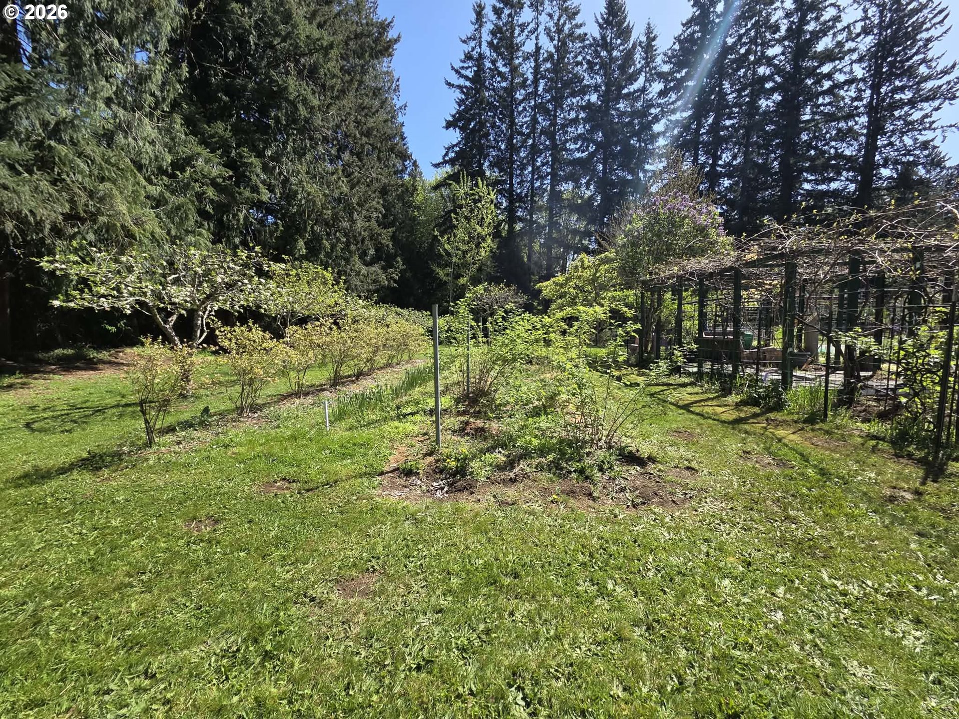 42970 Southeast Music Camp Road Sandy, OR 97055 - Photo 6 of 46