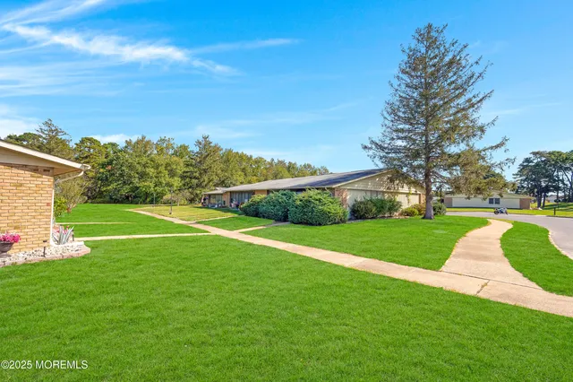 a view of a garden with large trees