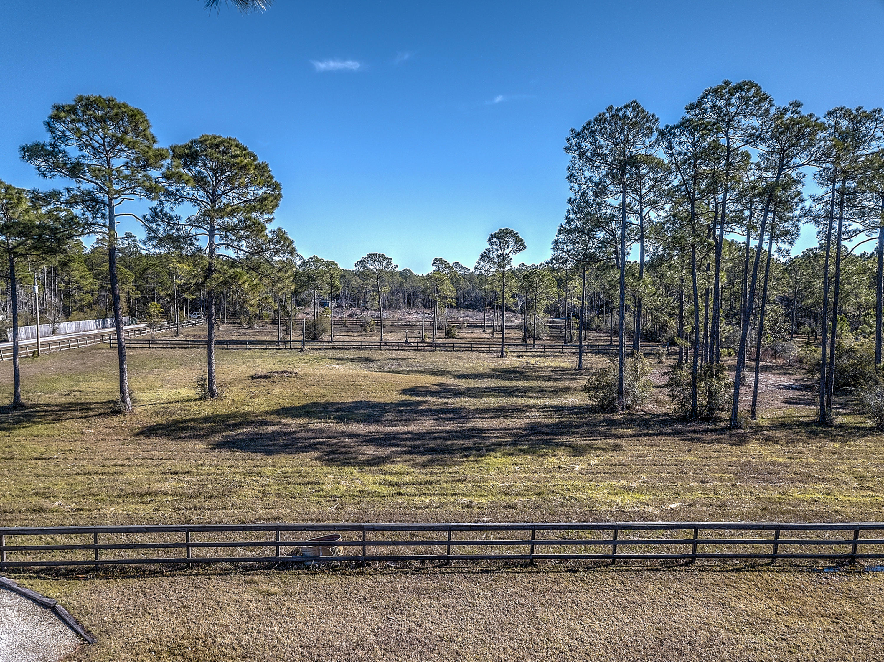 441 Gator Lane Santa Rosa Beach, FL 32459 - Photo 3 of 36 Gallery Image 3