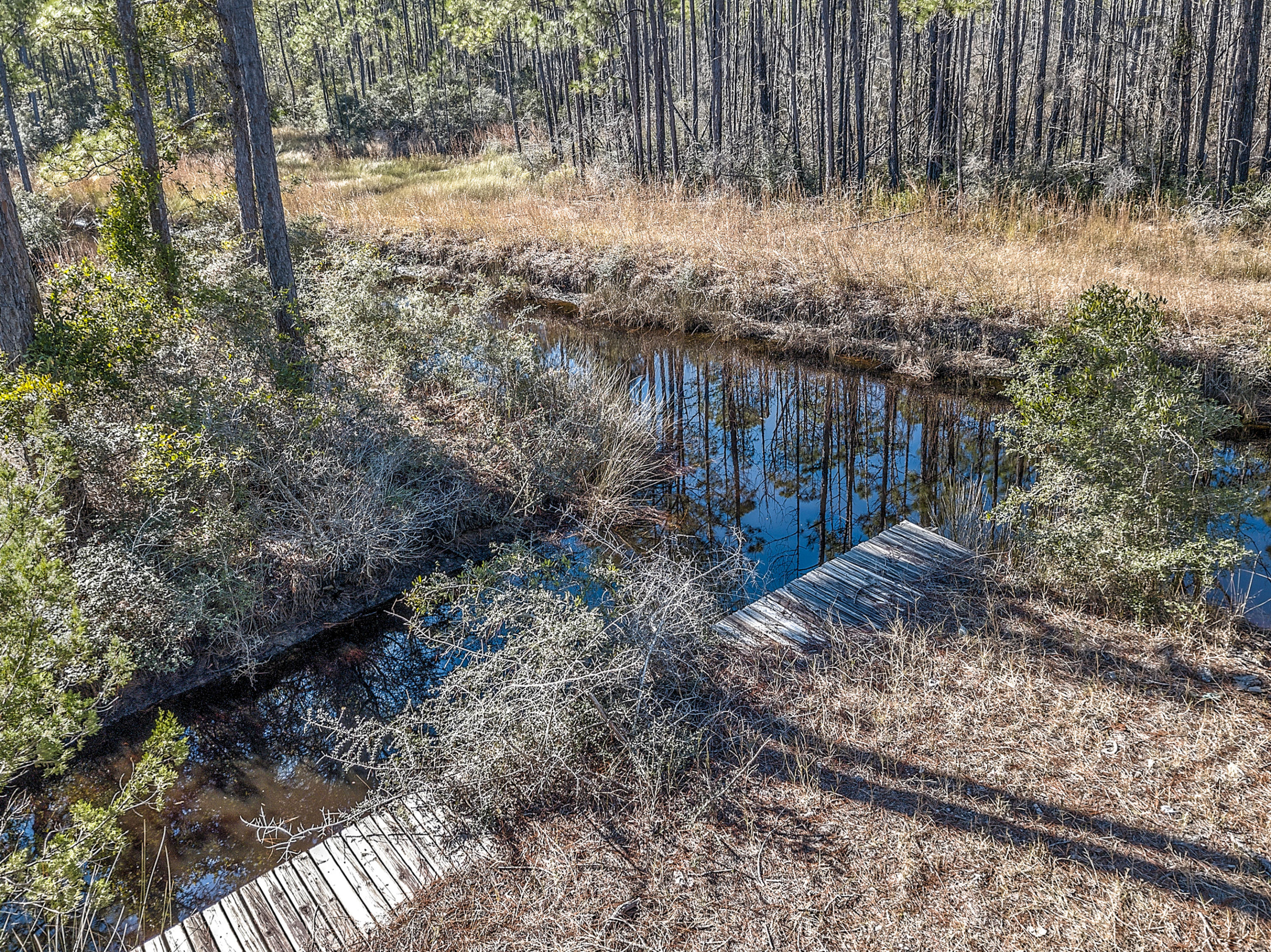 441 Gator Lane Santa Rosa Beach, FL 32459 - Photo 35 of 36 Gallery Image 35