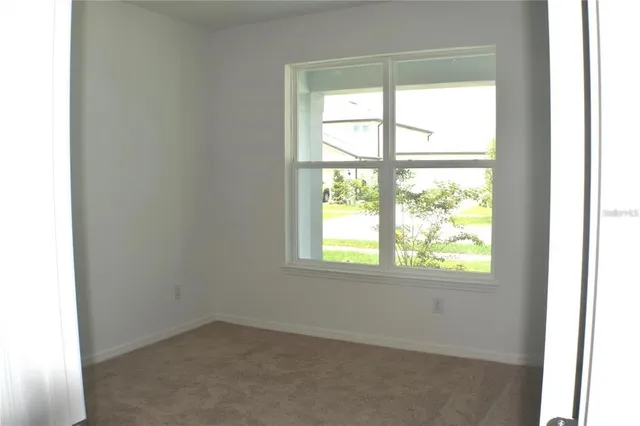 $3,500 | 20854 Magnolia Crk Lane, Land O' Lakes, FL 34638