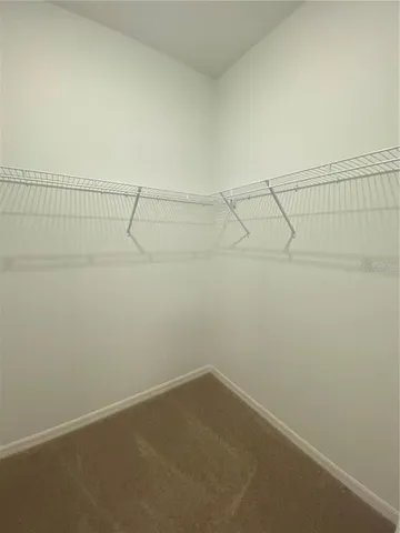 $3,500 | 20854 Magnolia Crk Lane, Land O' Lakes, FL 34638