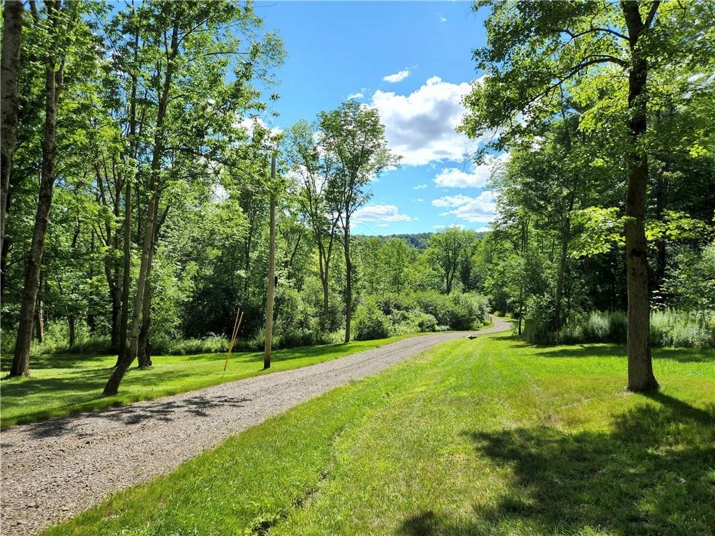 316 Seminary Road Hartwick, NY 13807 - Photo 3 of 23