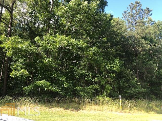 0 Old Jacksonville Road Buchanan, GA 30113 - Photo 1 of 1