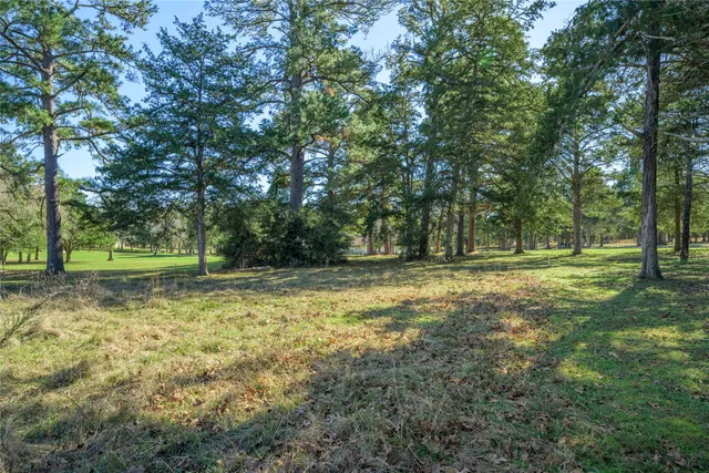 a view of outdoor space with deck and trees
