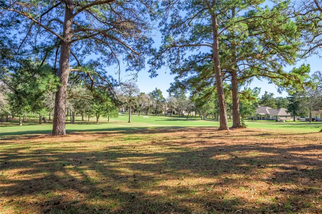 a view of a big yard with trees