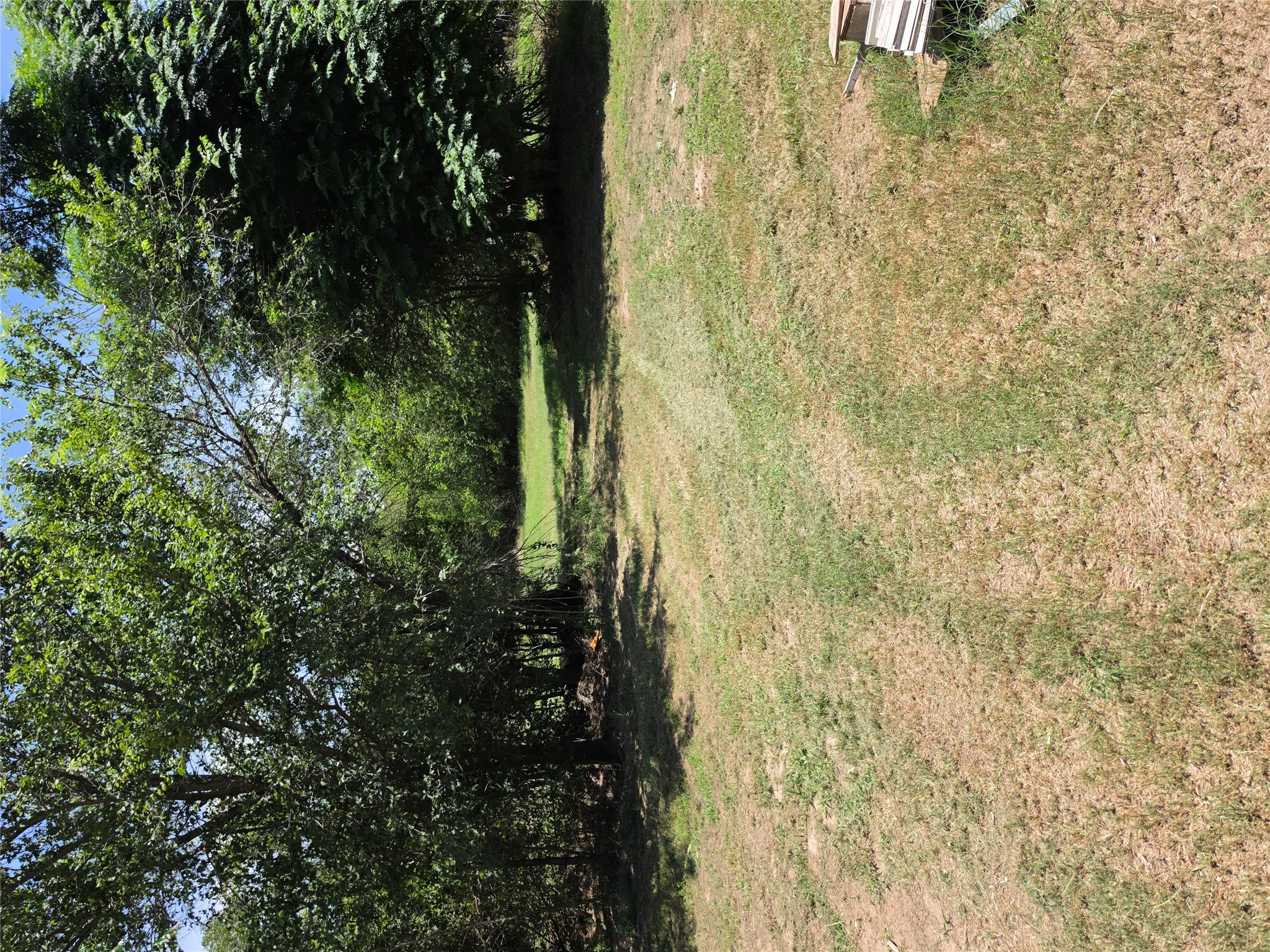 711 2nd Street East Elgin, TX 78621 - Photo 5 of 7 A spacious, verdant lot awaits your vision, framed by mature, leafy trees.
