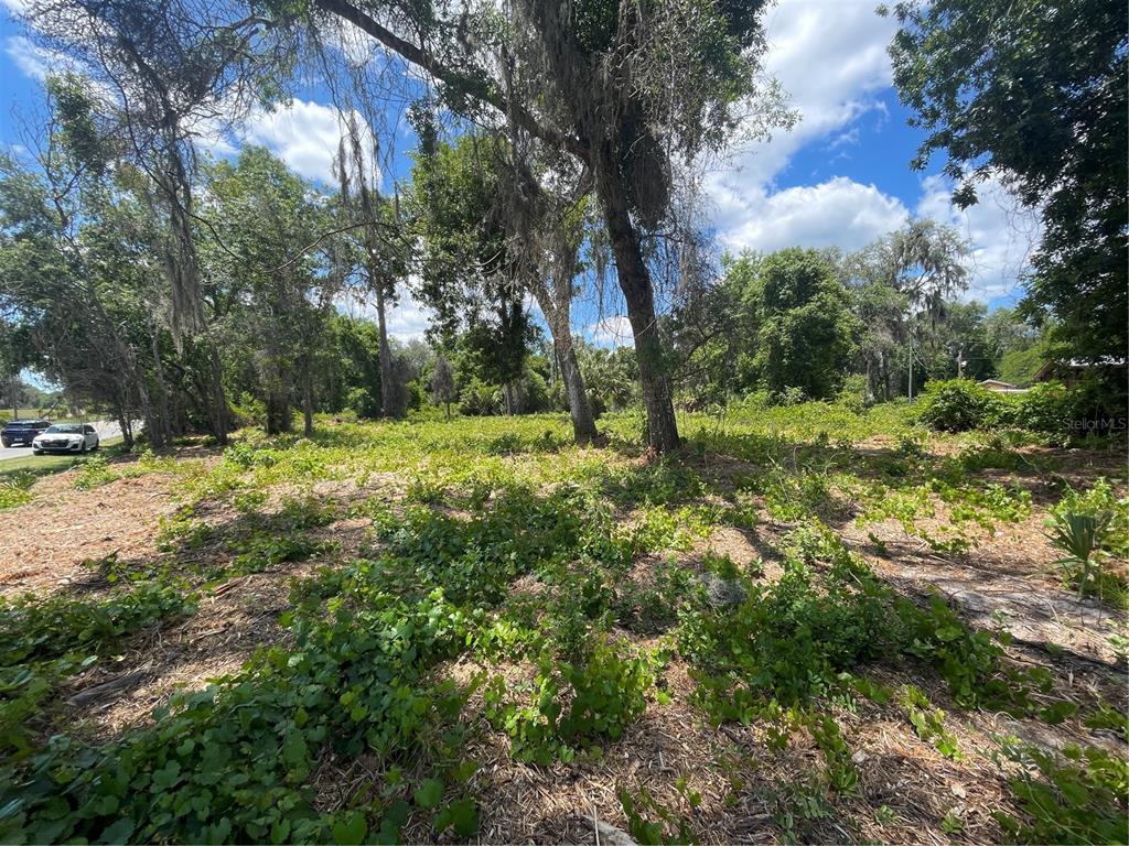 42 County Road Umatilla, FL 32784 - Photo 4 of 8