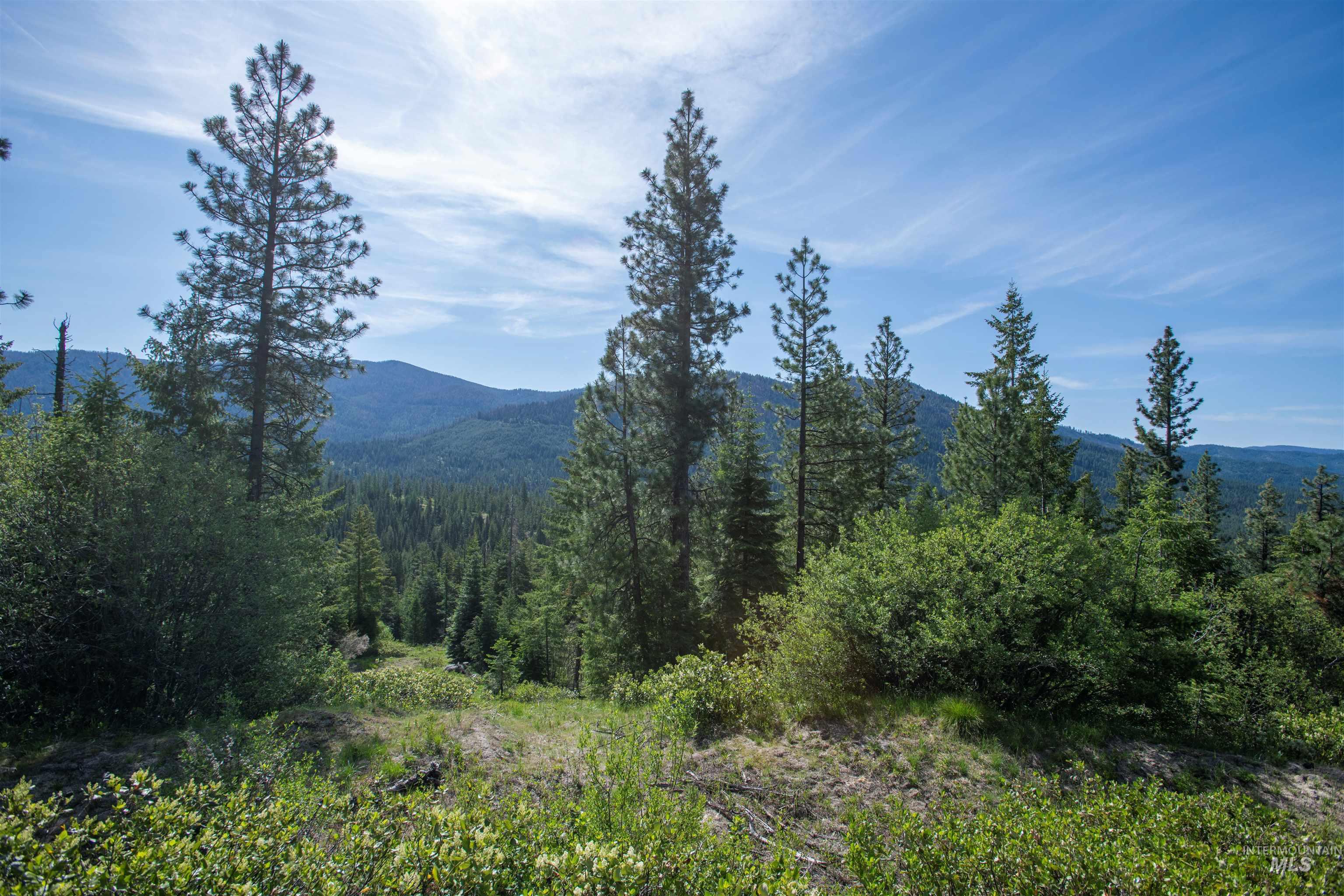 2 Warm Lake Road Cascade, ID 83611 - Photo 2 of 7 View of mountain backdrop featuring a forest
