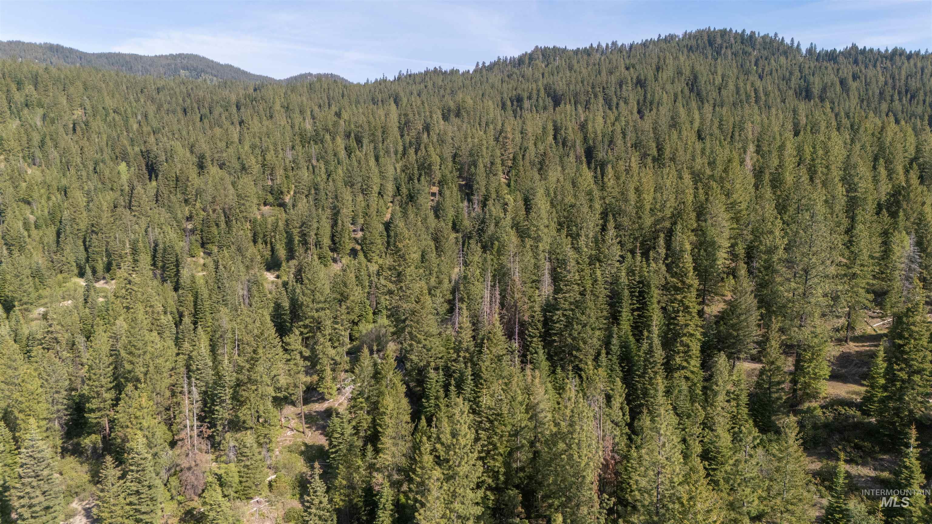2 Warm Lake Road Cascade, ID 83611 - Photo 5 of 7 View of mountain backdrop with a forest