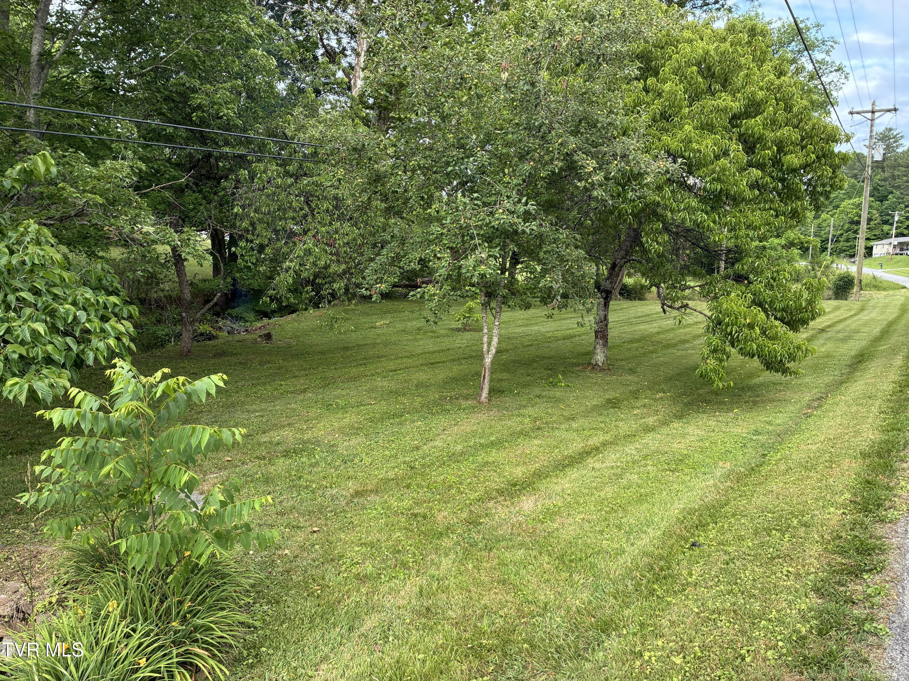 940 Middle Creek Road Afton, TN 37616 - Photo 7 of 80 Landscape 6