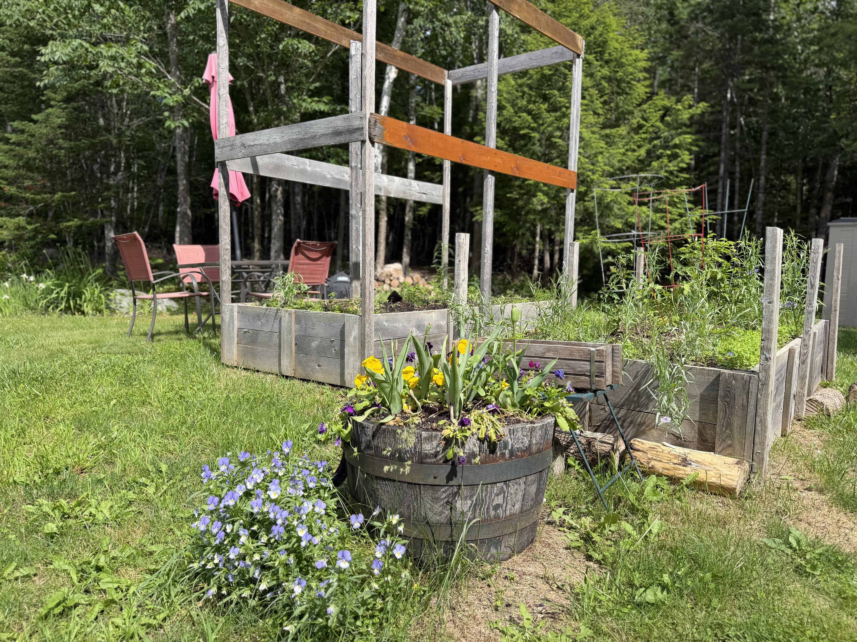 629 Greeley's Landing Road Dover-Foxcroft, ME 04426 - Photo 12 of 70 IMG_4498