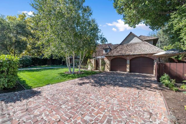 a view of a yard with plants and large trees