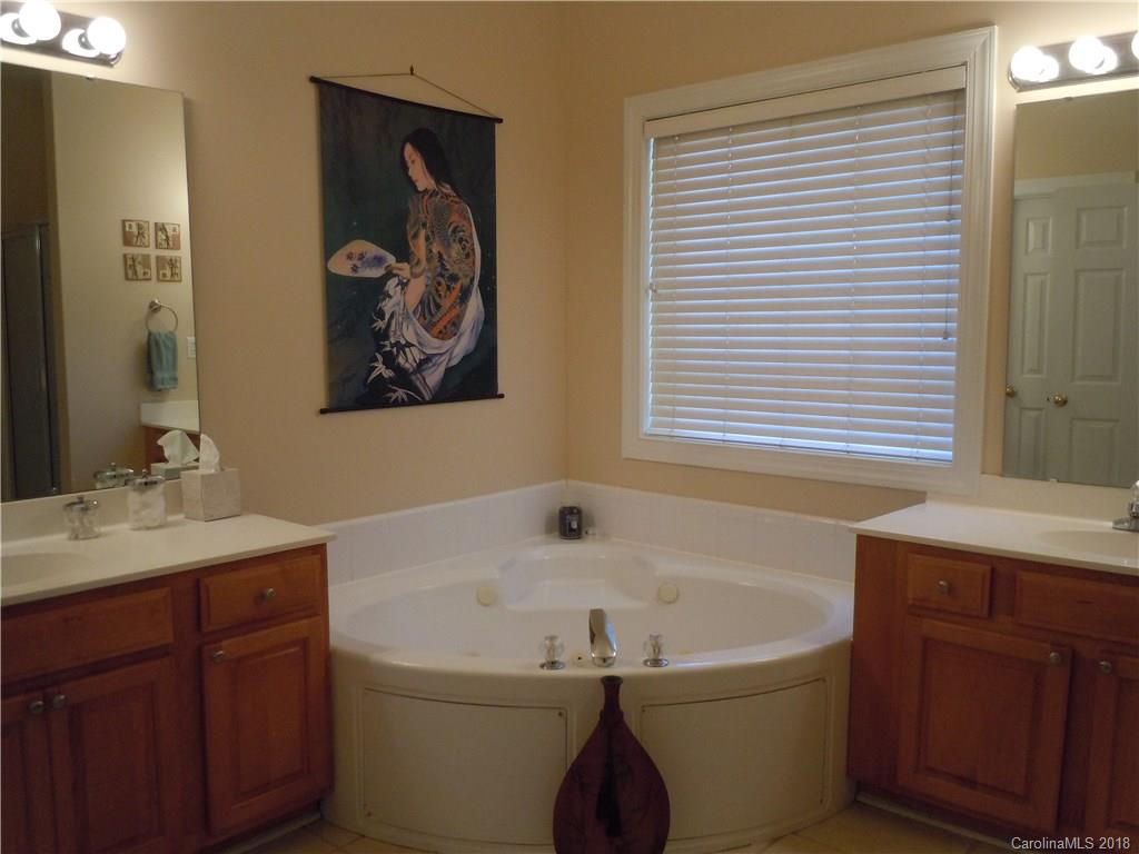 124 Zimmerman Drive Fort Mill, SC 29708 - Photo 23 of 35 a bathroom with a tub a sink and a mirror