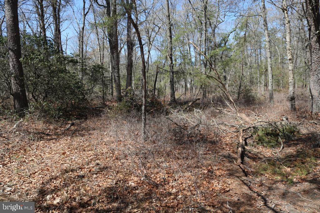 351 Shaws Mill Road Cedarville, NJ 08311 - Photo 18 of 84