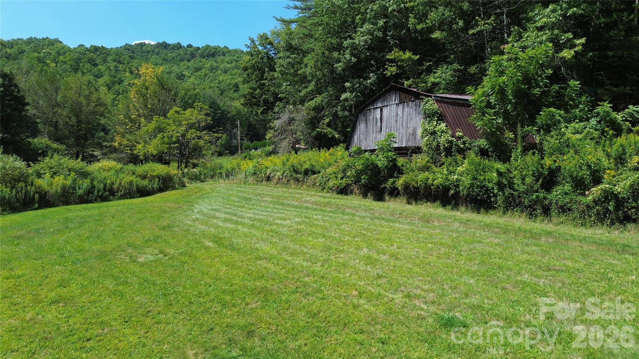 20 Triangle Road Tuckasegee, NC 28783 - Photo 9 of 12 Gallery Image 9