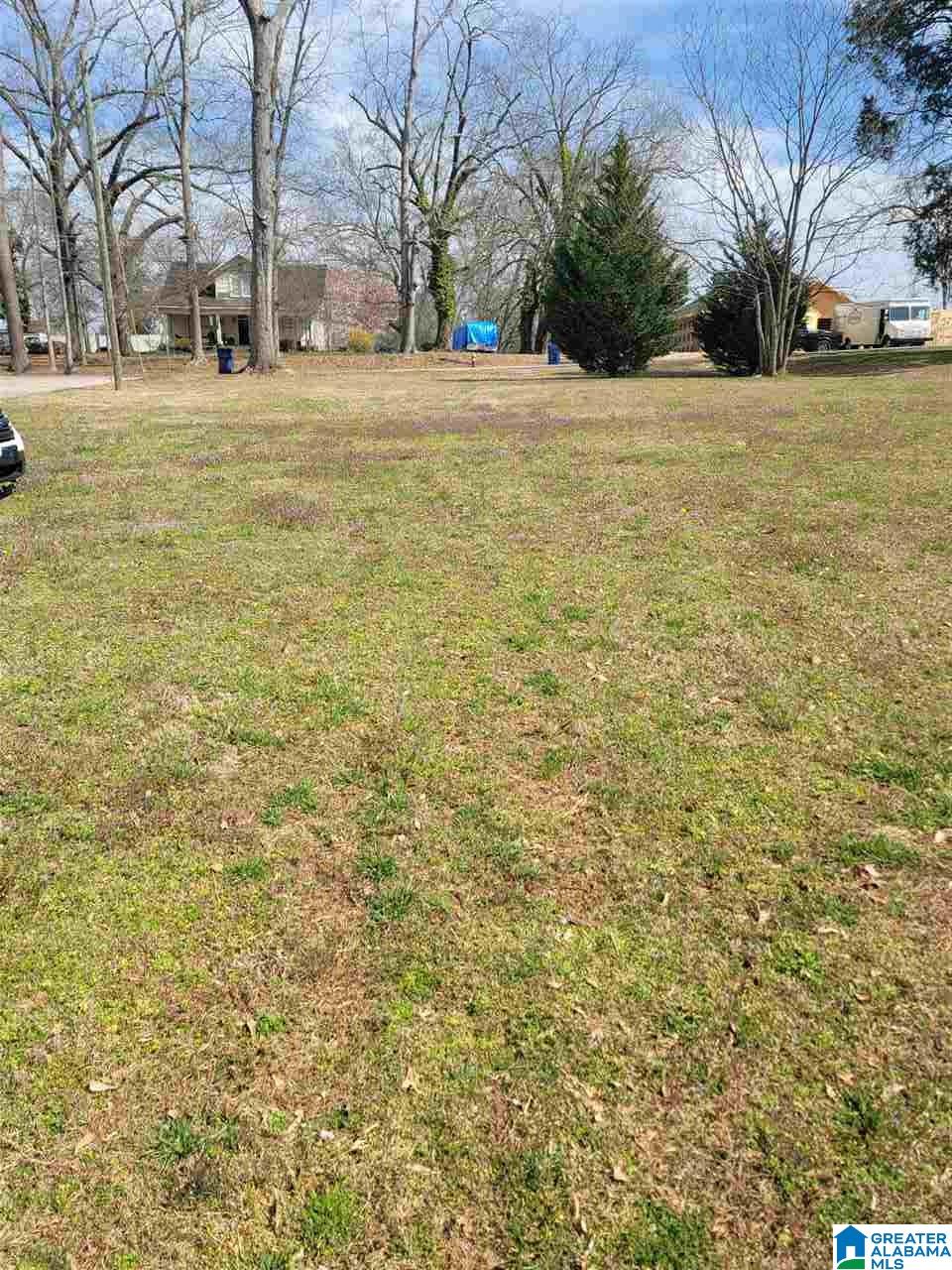 35 Dunaway Street Heflin, AL 36264 - Photo 3 of 16