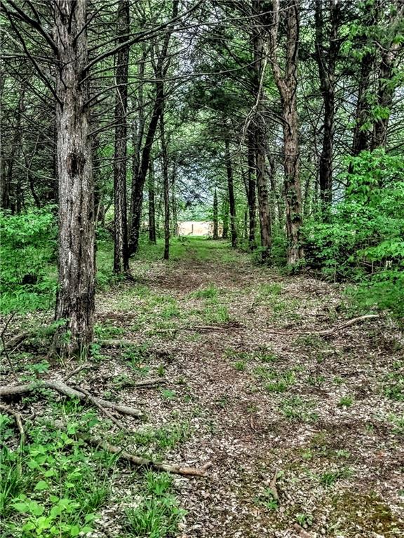 250 Virginia Road Greeley, KS 66033 - Photo 25 of 26