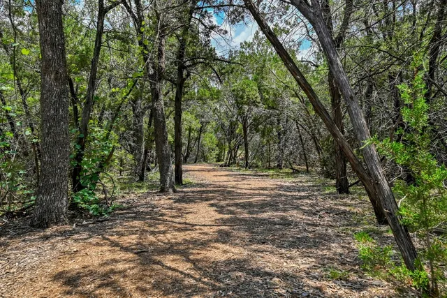 a big yard with lots of green space and trees