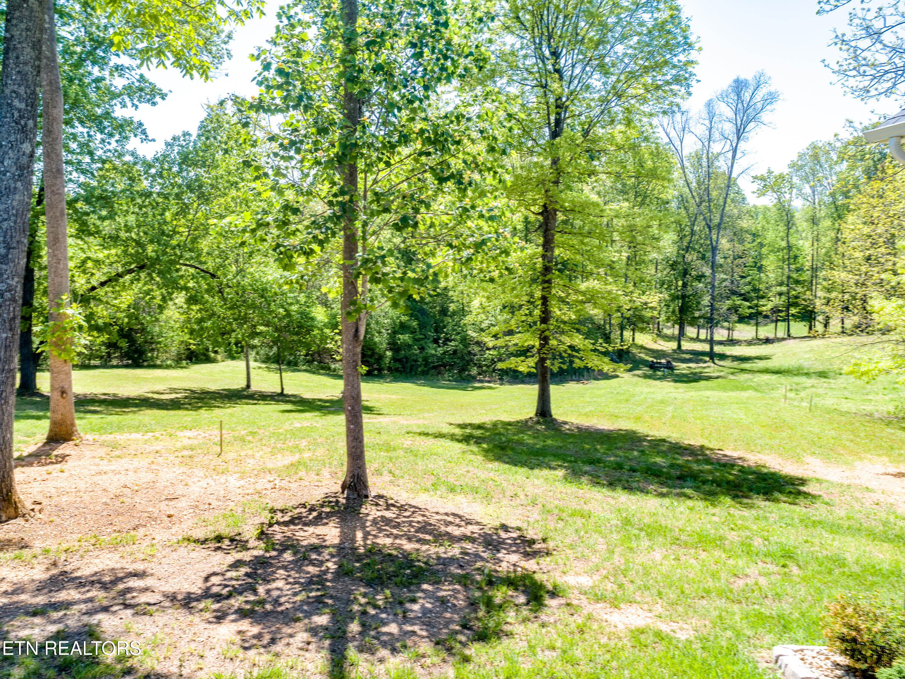 170 Sunset Boulevard Maynardville, TN 37807 - Photo 24 of 27 Back yard
