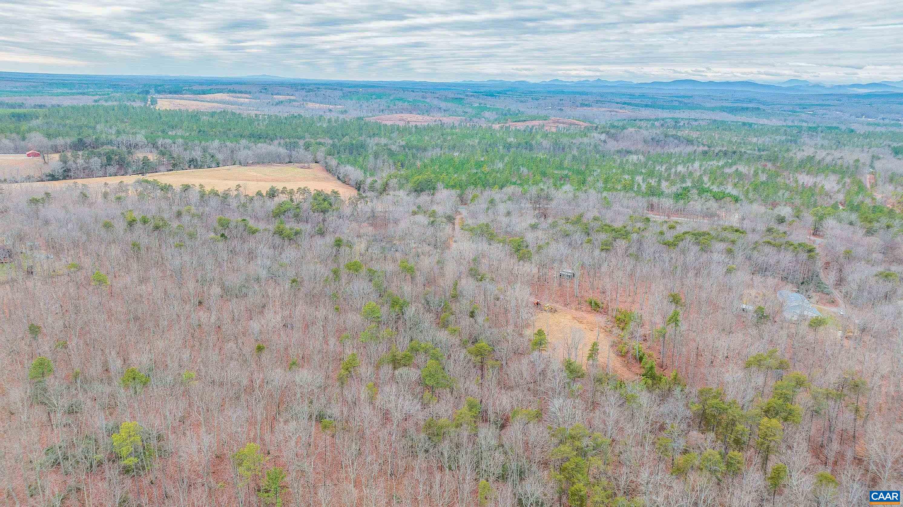 4045 A Buck Island Road Charlottesville, VA 22902 - Photo 4 of 9 Gallery Image 4