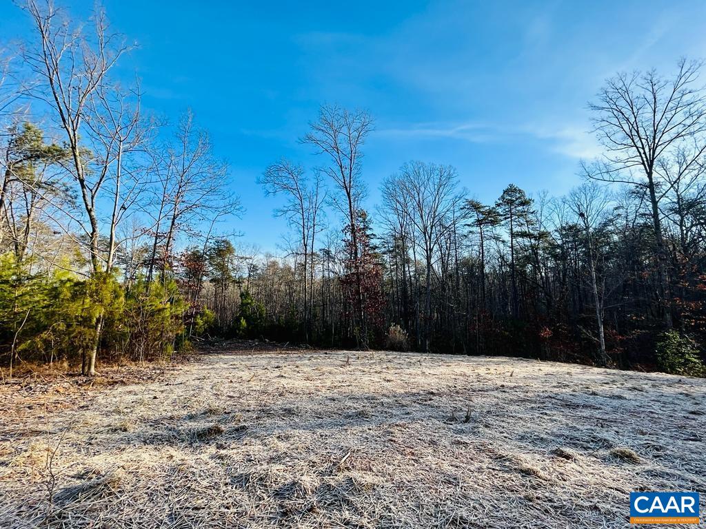 4045 A Buck Island Road Charlottesville, VA 22902 - Photo 8 of 9 Gallery Image 8