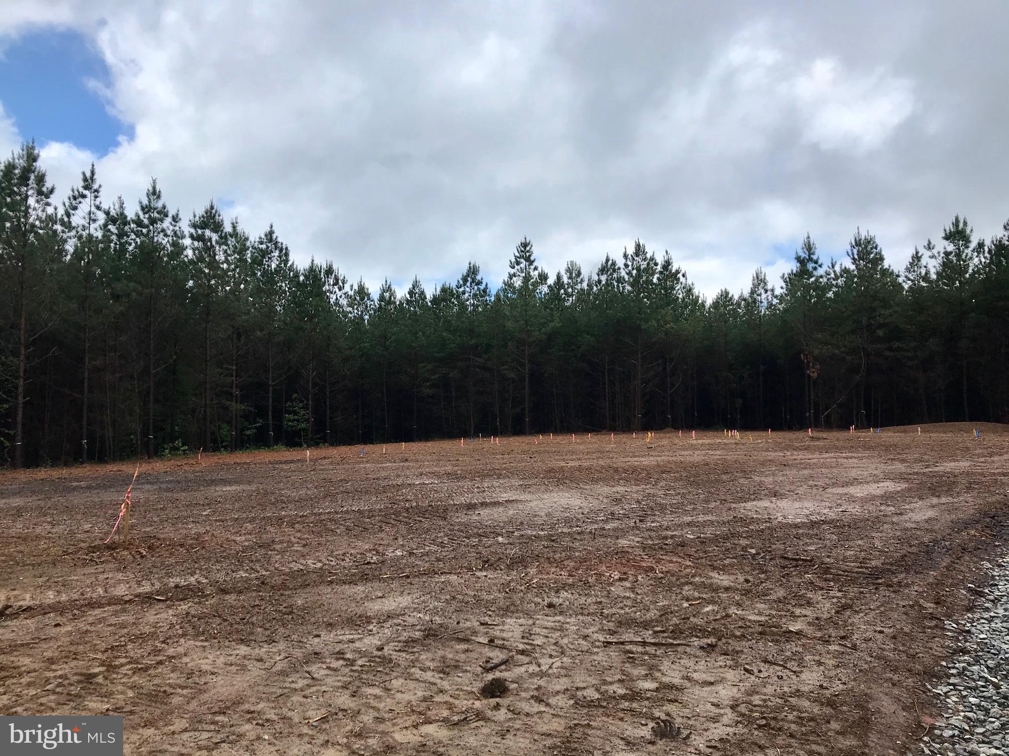 1565 Dongola Road Bumpass, VA 23024 - Photo 3 of 6 Build site