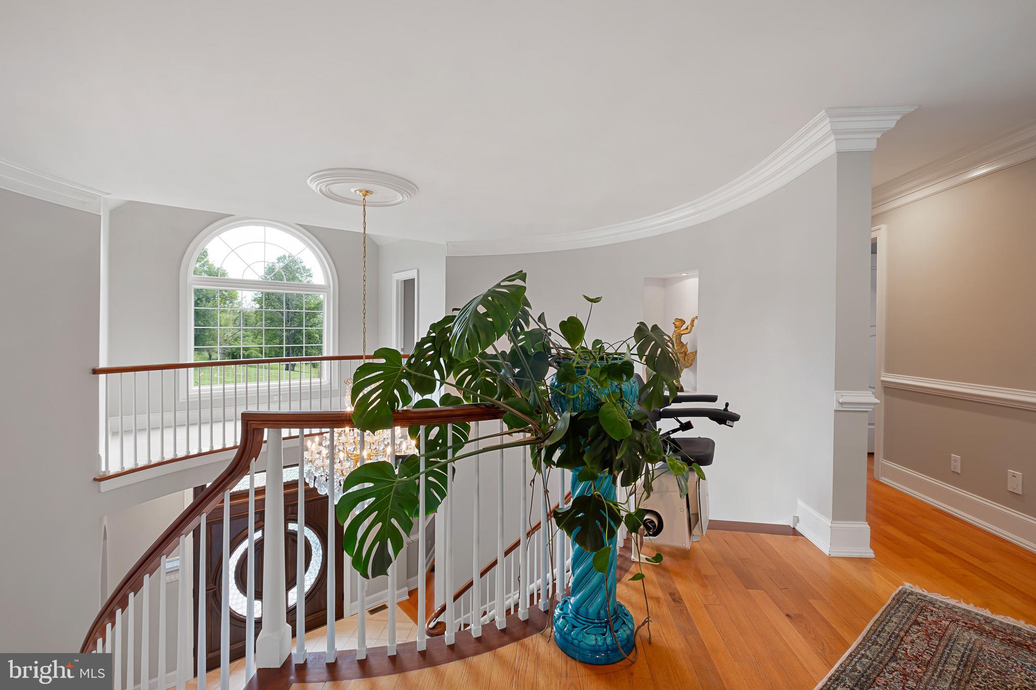 104 Indian Springs Road Kennett Square, PA 19348 - Photo 47 of 106 a vase of flowers sitting on a table with window