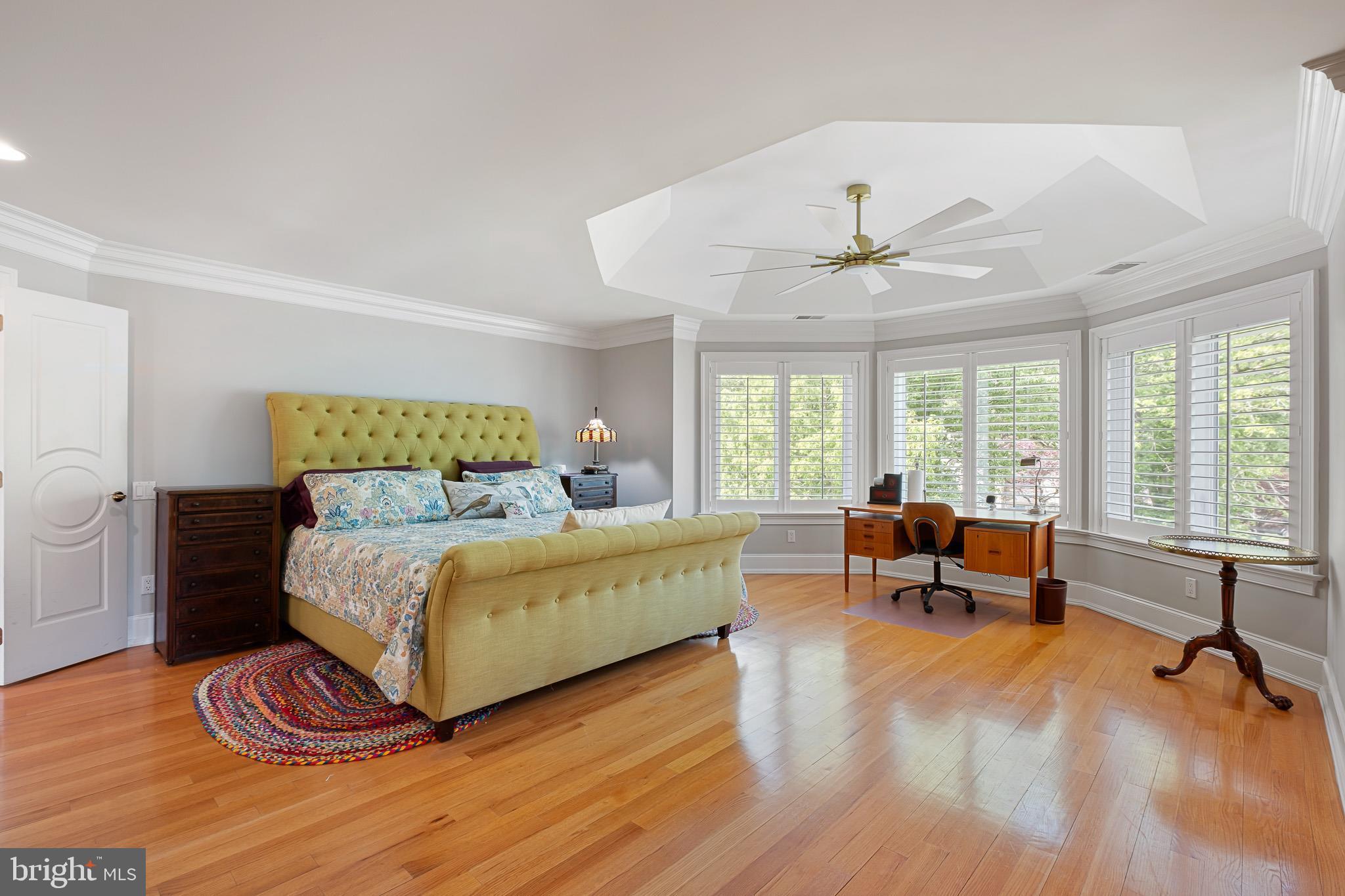 104 Indian Springs Road Kennett Square, PA 19348 - Photo 50 of 106 Primary suite w/ custom ceiling