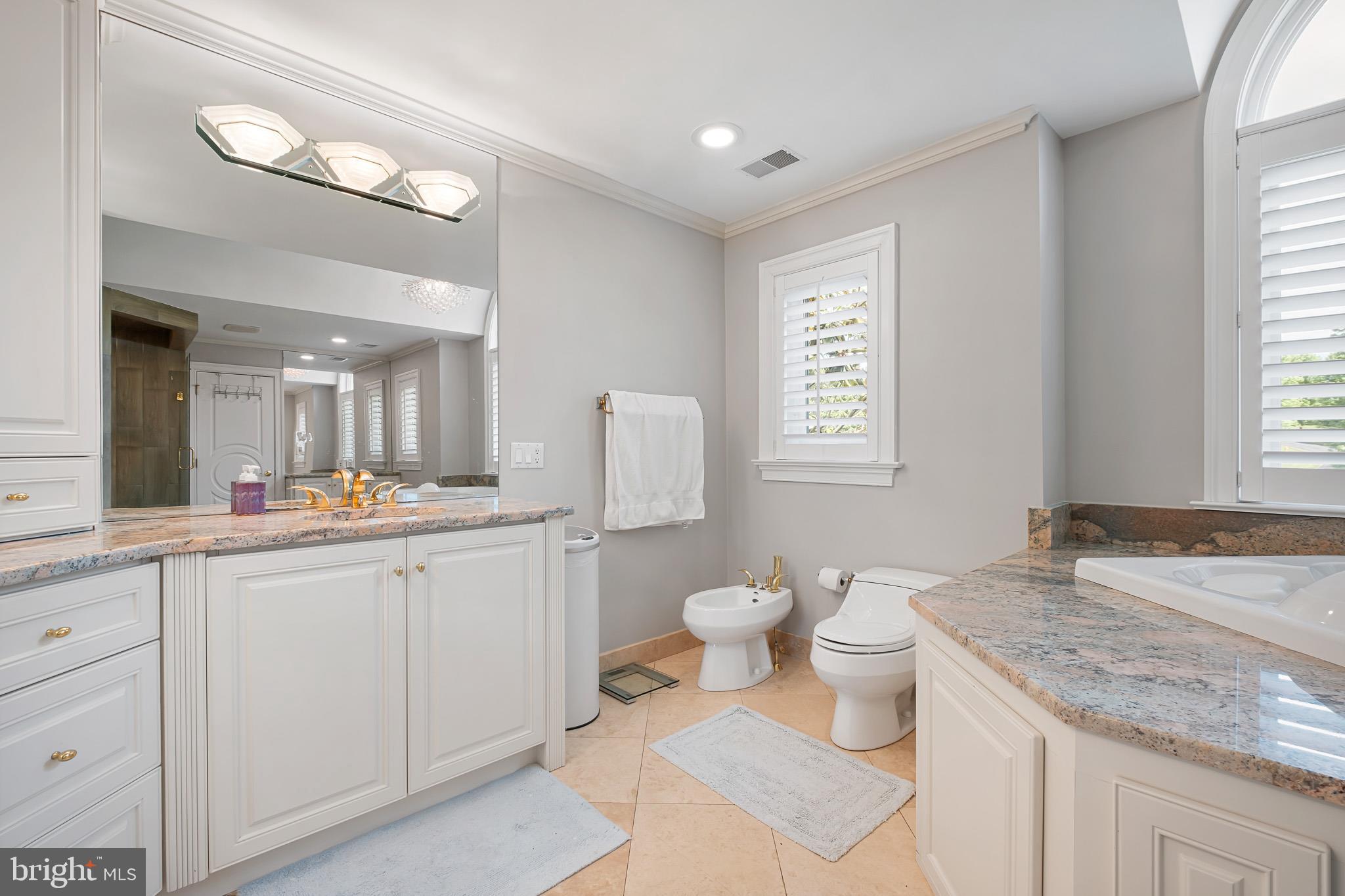 104 Indian Springs Road Kennett Square, PA 19348 - Photo 55 of 106 a bathroom with a granite countertop sink mirror and toilet