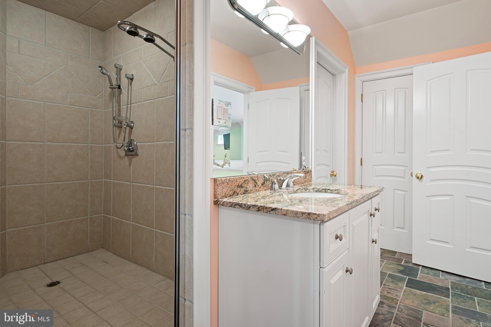 104 Indian Springs Road Kennett Square, PA 19348 - Photo 65 of 106 a bathroom with a granite countertop sink a toilet and shower