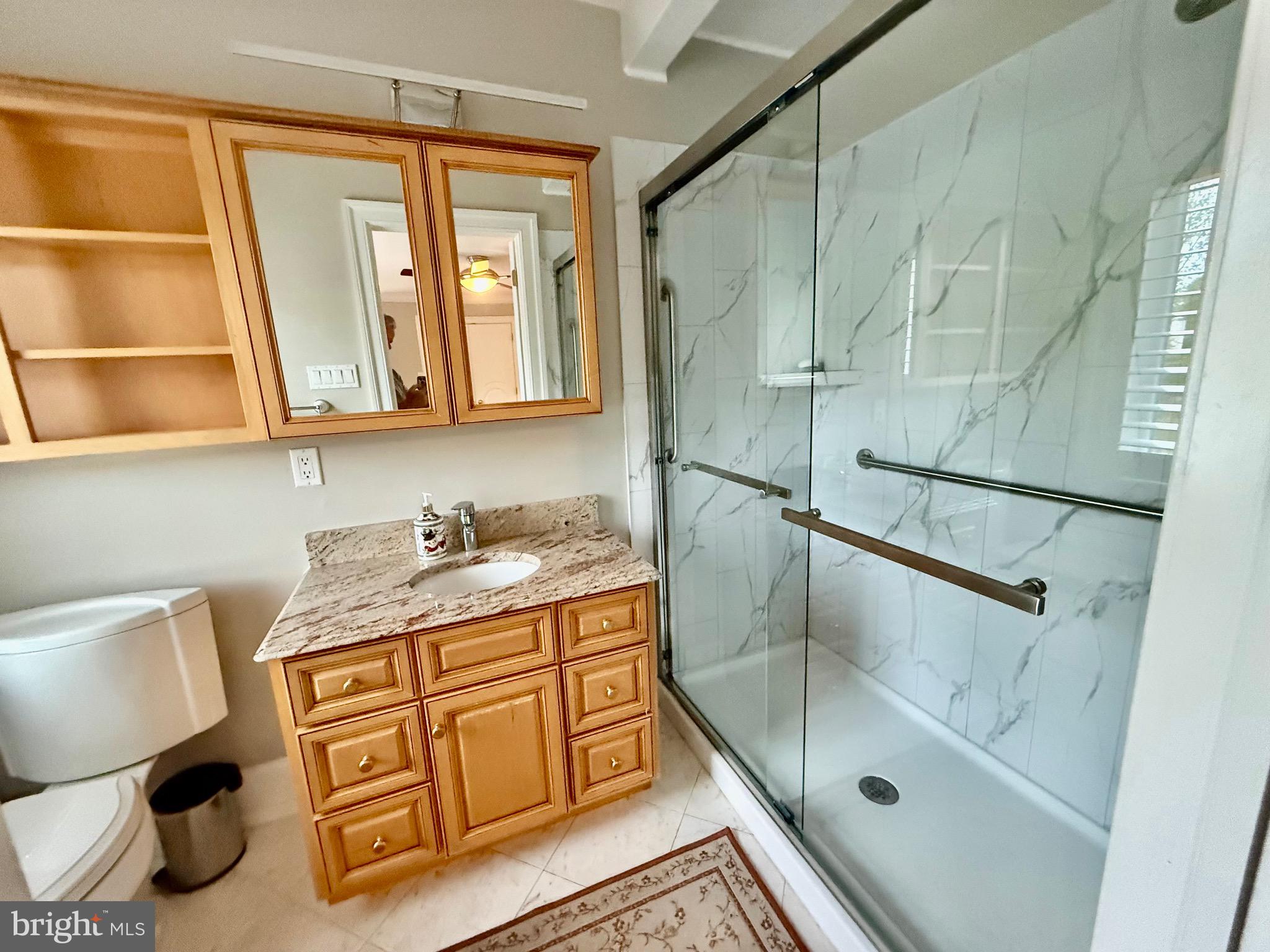 104 Indian Springs Road Kennett Square, PA 19348 - Photo 67 of 106 a bathroom with a granite countertop sink a mirror and a shower