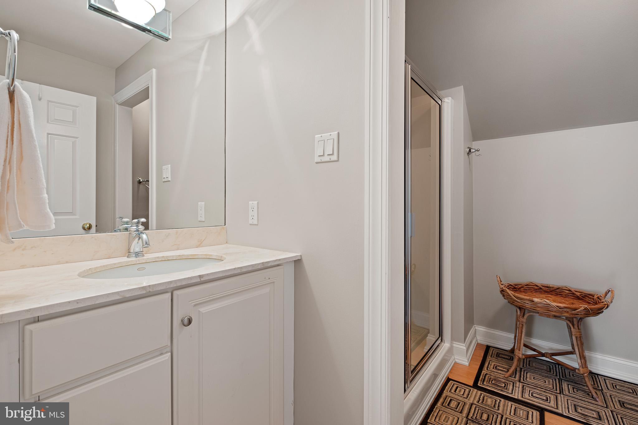 104 Indian Springs Road Kennett Square, PA 19348 - Photo 80 of 106 a bathroom with a sink and a mirror