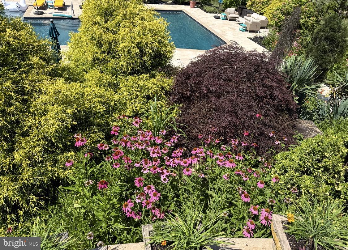 104 Indian Springs Road Kennett Square, PA 19348 - Photo 91 of 106 Lush garden blooms by a serene pool.