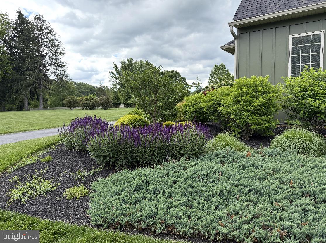 104 Indian Springs Road Kennett Square, PA 19348 - Photo 92 of 106 a view of a backyard with plants