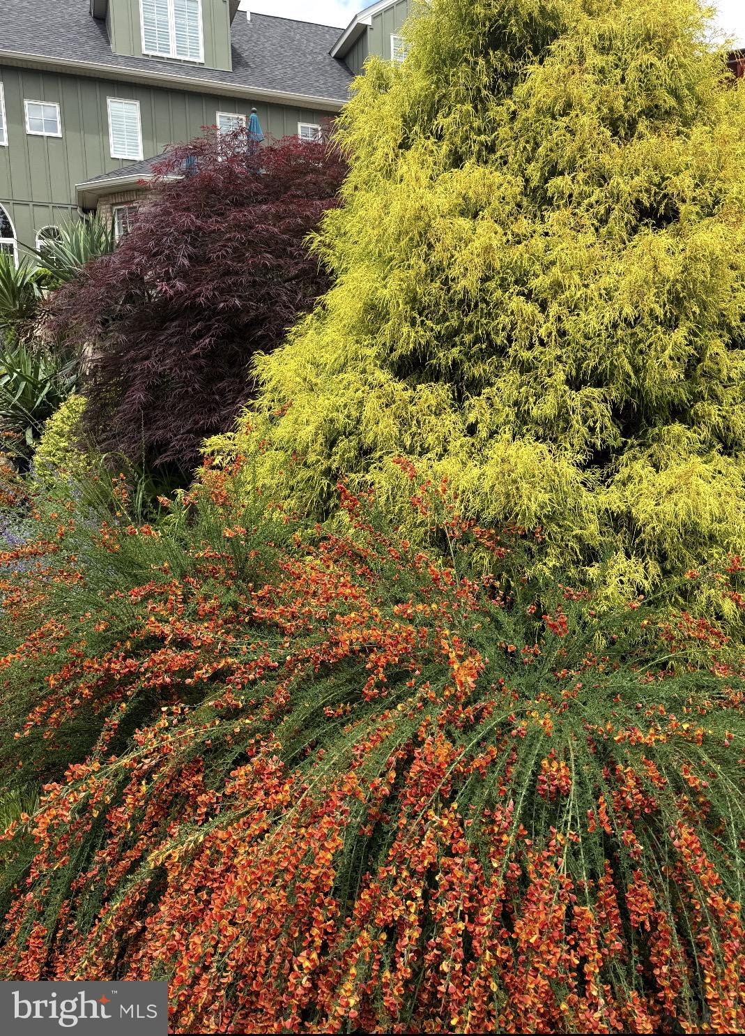 104 Indian Springs Road Kennett Square, PA 19348 - Photo 93 of 106 Vibrant garden hues in harmony.